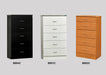 5 DRAWER CHEST WHITE - B801C